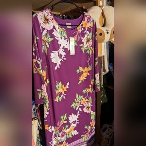 Beautiful brand new ladies Chico's dress knee length